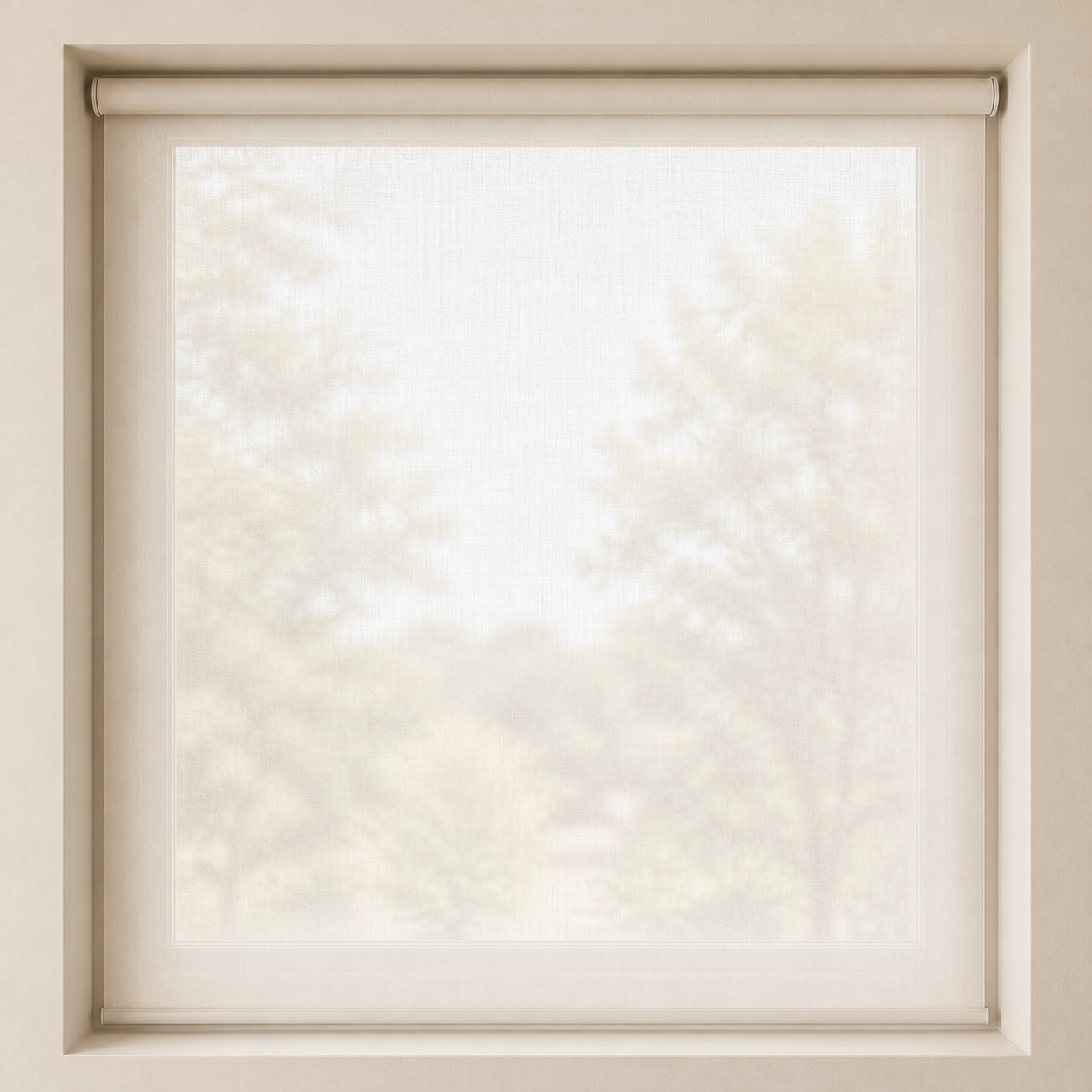 Sheer Roller Blind