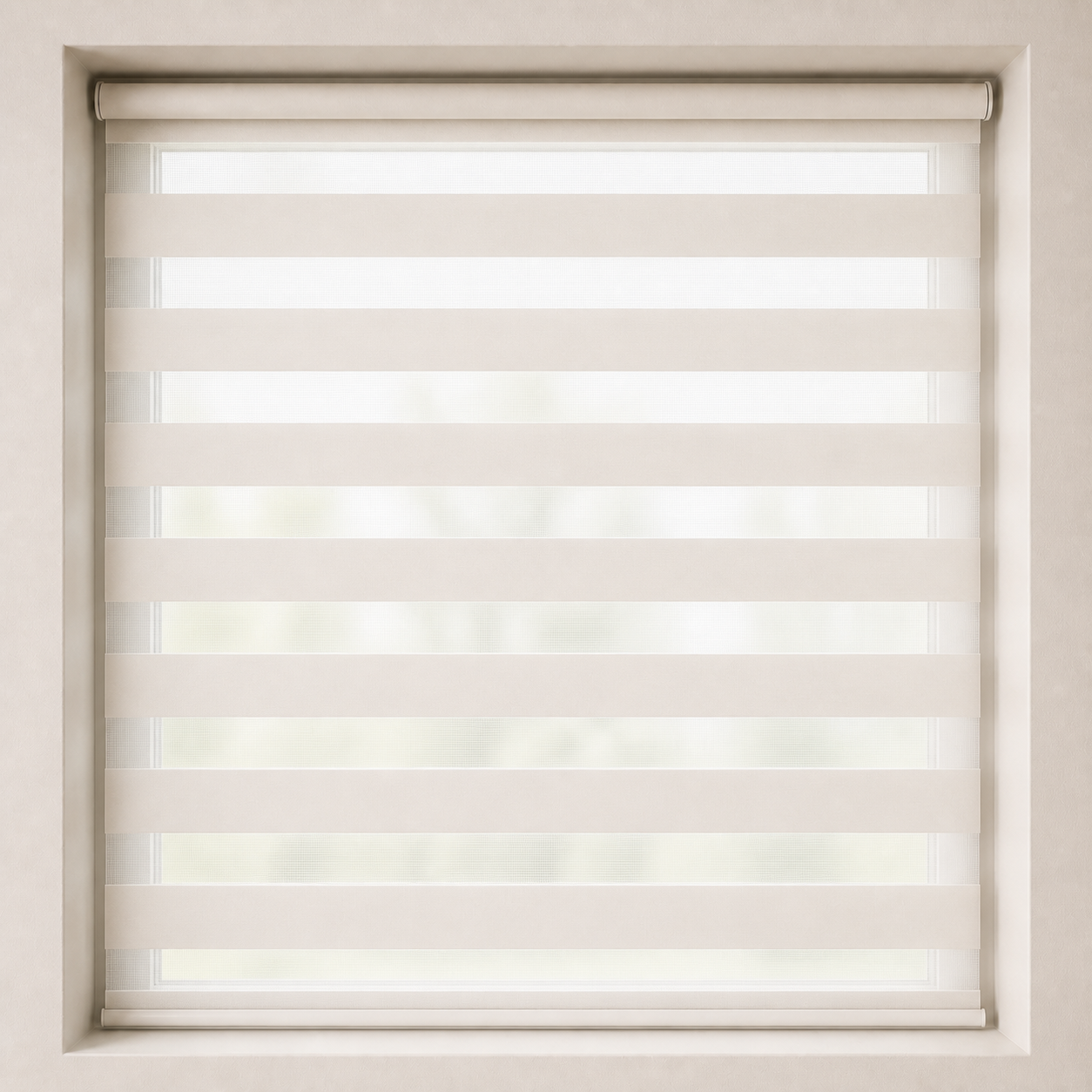 Zebra Blinds